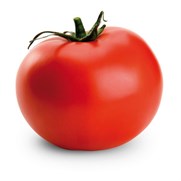 tomate